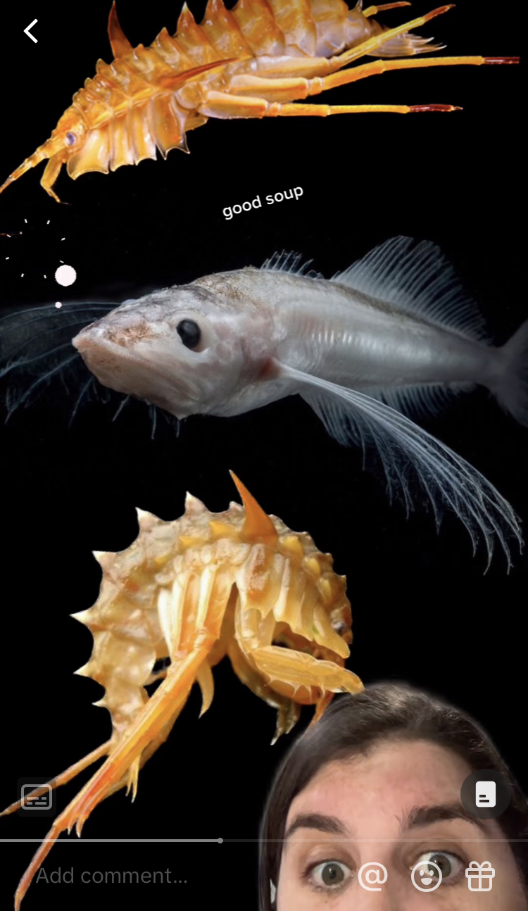 Screenshot of a TikTok video of Geo talking about the Lake Baikal ecosystem, displaying an image of three species of fish.
